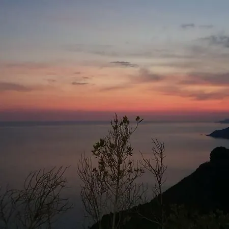 Relax Just Relax * Pisciotta